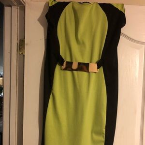Size 16 Ashley Stewart knee length dress